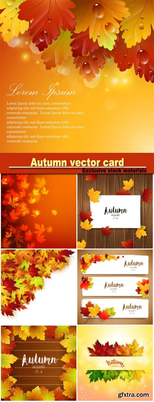 Autumn vector card, colorful autumn leaves background