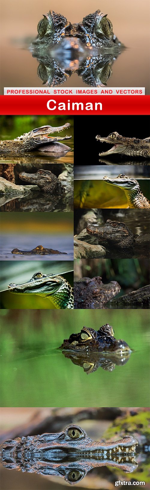 Caiman - 11 UHQ JPEG