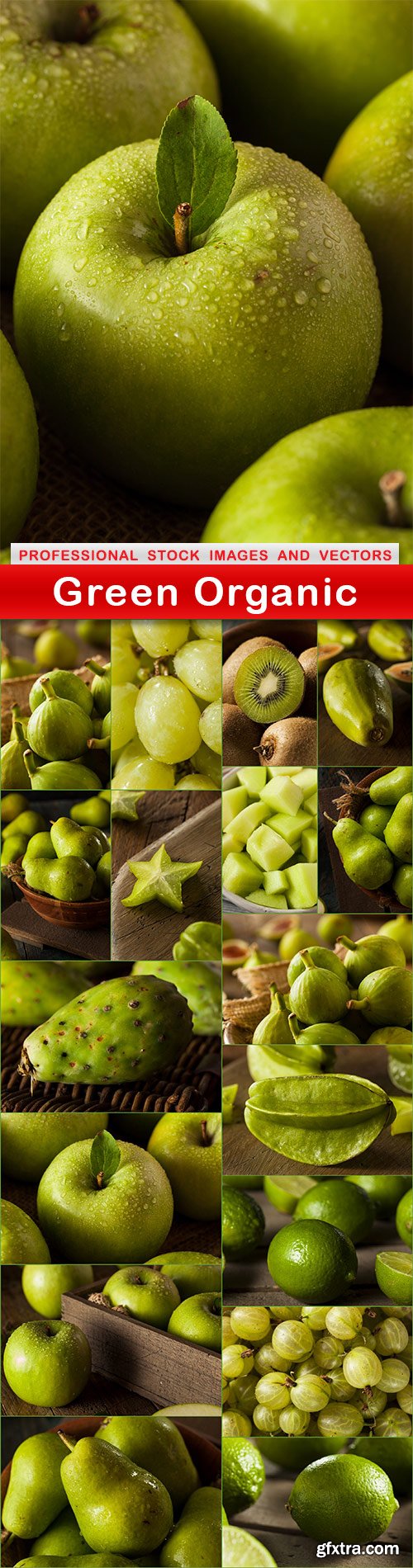 Green Organic - 18 UHQ JPEG