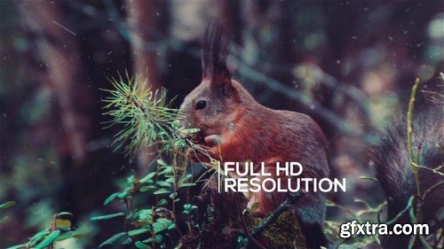 Elegant Slideshow - After Effects Template