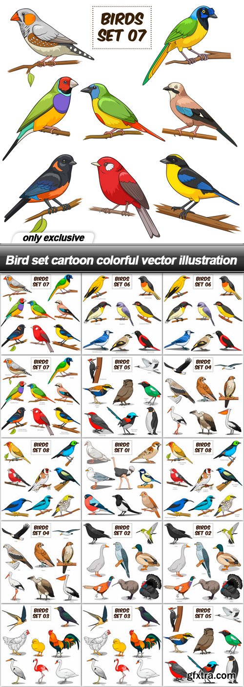 Bird set cartoon colorful vector illustration - 15 EPS