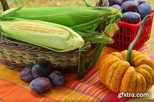 Collection of the harvest field agriculture vegetables fruits agriculturist autumn 25 HQ Jpeg