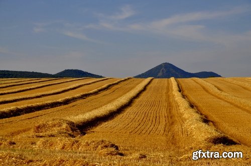 Collection of the harvest field agriculture vegetables fruits agriculturist autumn 25 HQ Jpeg