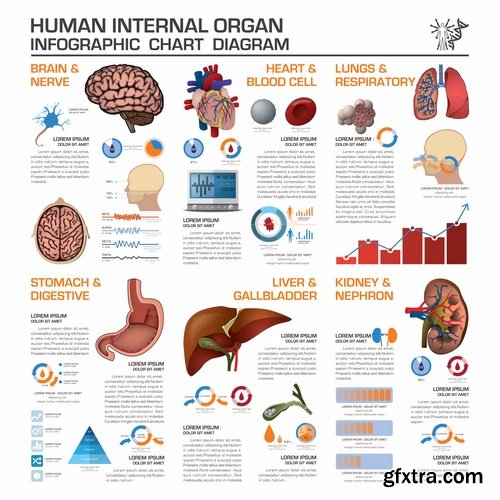 Collection business infographics medicine food products 25 EPS