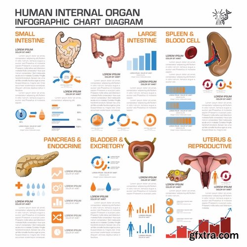 Collection business infographics medicine food products 25 EPS