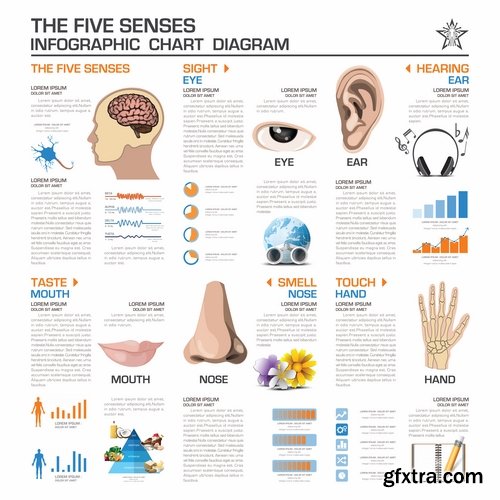 Collection business infographics medicine food products 25 EPS