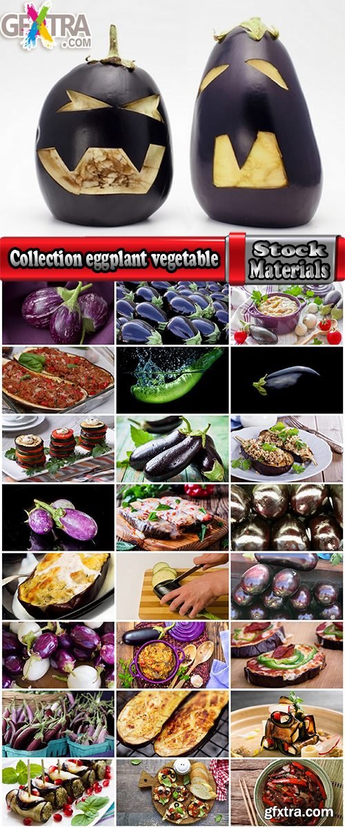 Collection eggplant vegetable dish salad 25 HQ Jpeg