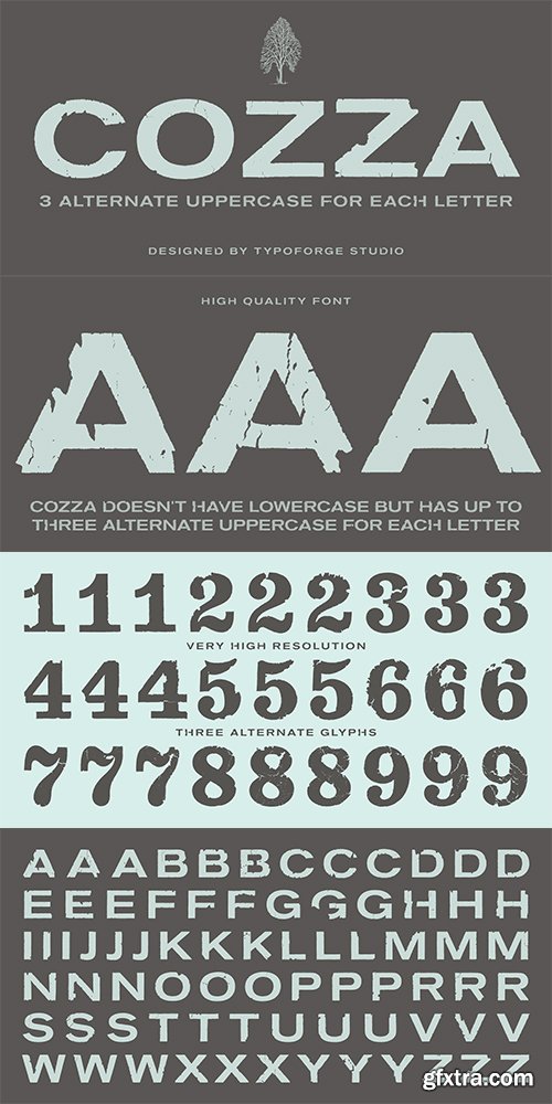 Cozza Font Family - 3 FONTS $99