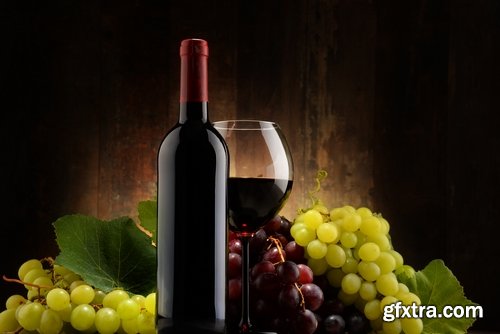 Collection of grapes and wine still life 25 HQ Jpeg