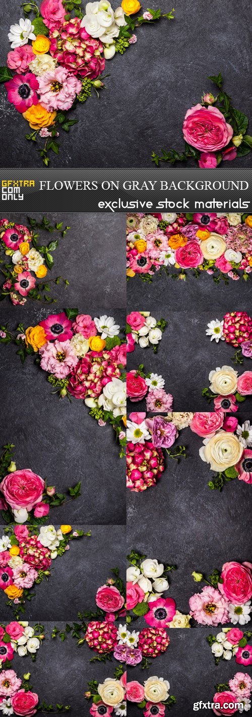 Flowers on Gray Background - 8 UHQ JPEG