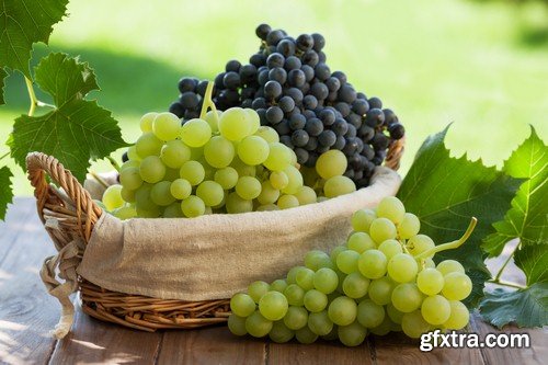 Grapes 1 - 5 UHQ JPEG