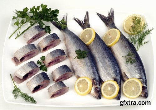 Collection of seafood fish herring dish 25 HQ Jpeg