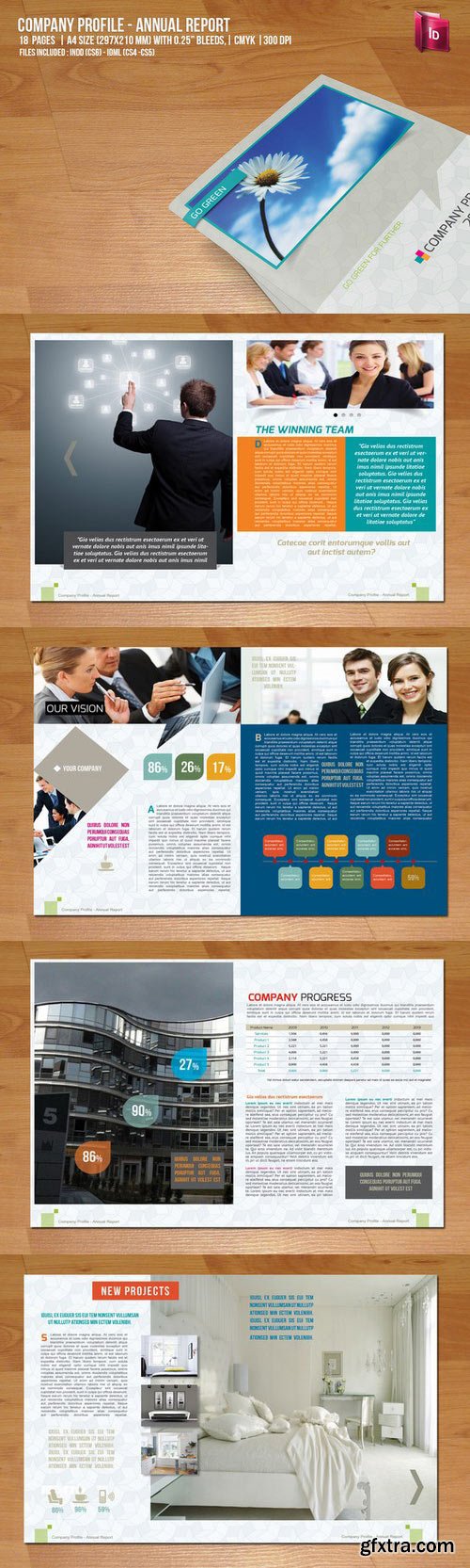 CM - Company Profile - Annual Report 43825