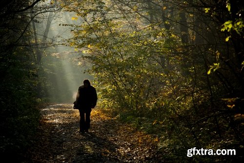 Collection of autumn nature man boy yellow leaf forest 25 HQ Jpeg