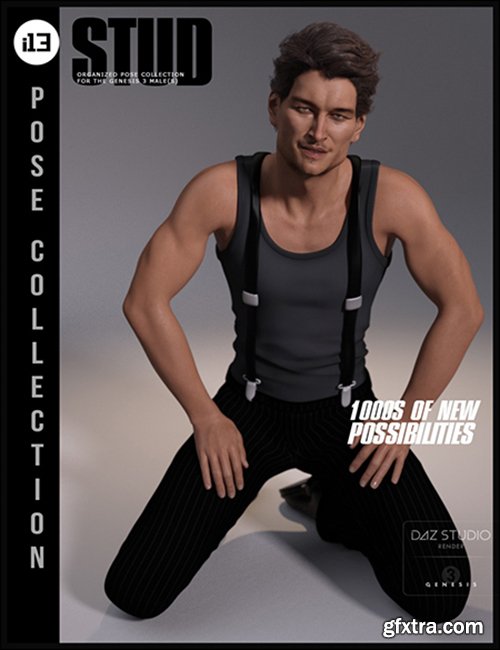 i13 Stud Pose Collection for the Genesis 3 Male(s)