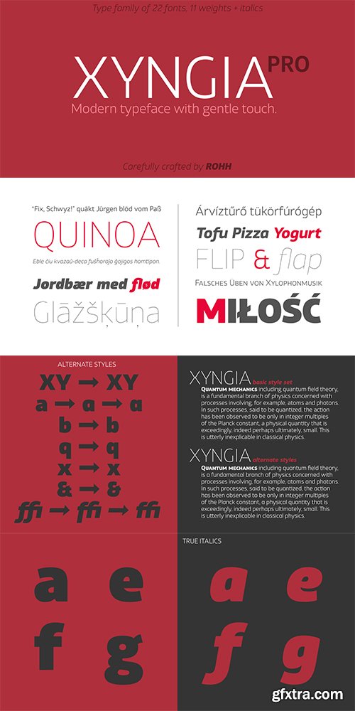 Xyngia Font Family - 22 FONTS $999