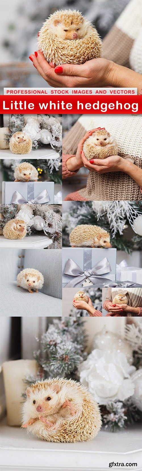 Little white hedgehog - 10 UHQ JPEG