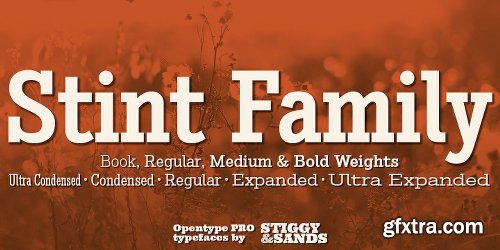 Stint Font Family - 20 Fonts $99