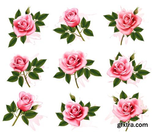 Natural background with roses, vintage vector