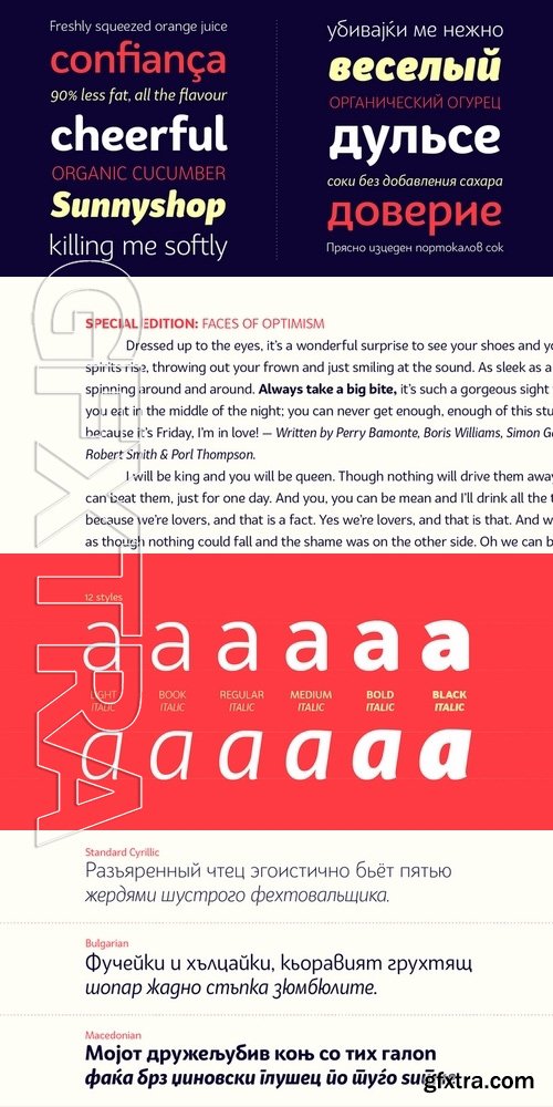 Bw Surco Font Family - 12 fonts: $162.00