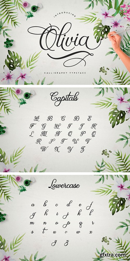 Olivia Script Font