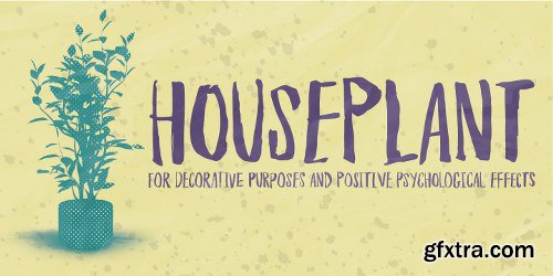 Houseplants Font