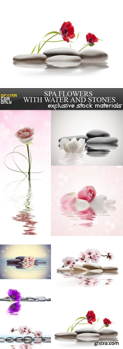 Spa Flowers with Water and Stones - 8 UHQ JPEG