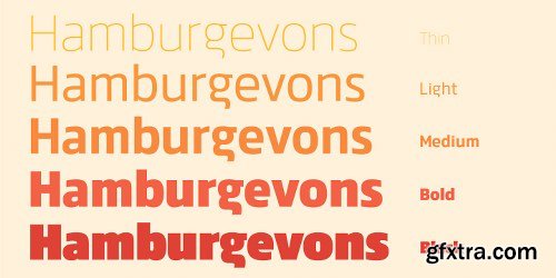 Danos Font Family - 19 Fonts $999