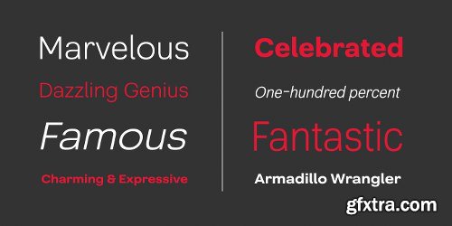 Grayfel Font Family - 42 Fonts $999