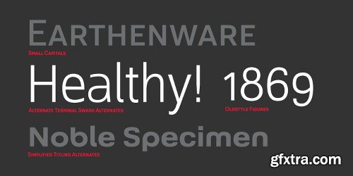 Grayfel Font Family - 42 Fonts $999