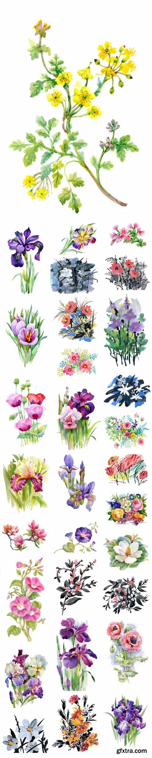 Vector Set - Watercolor Summer Garden Blooming Flowers