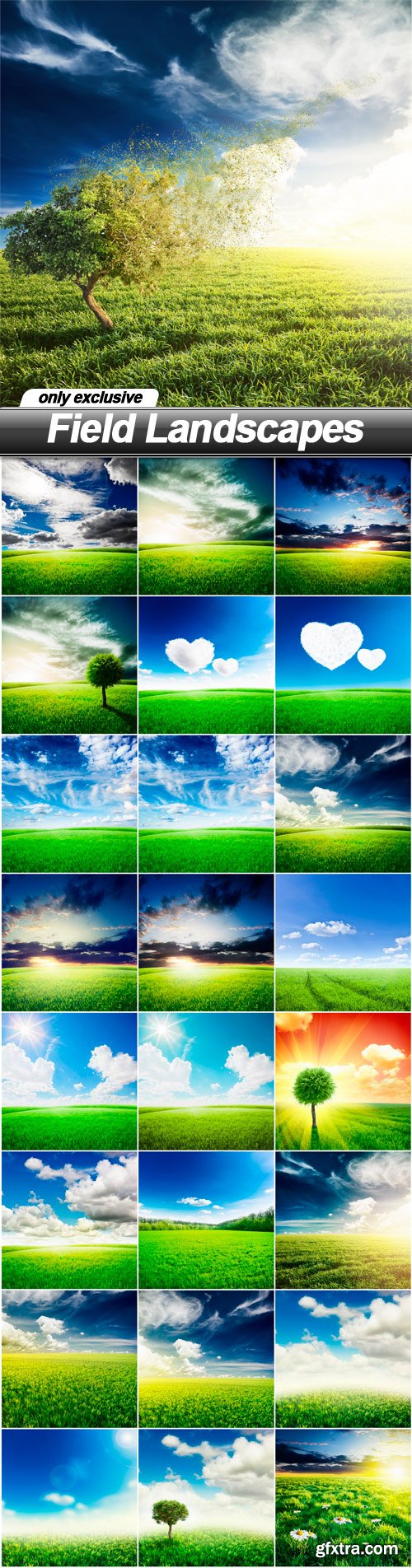 Field Landscapes - 25 UHQ JPEG