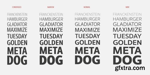 Interval Next Font family - 64 Fonts $999