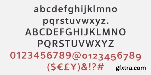 Interval Next Font family - 64 Fonts $999