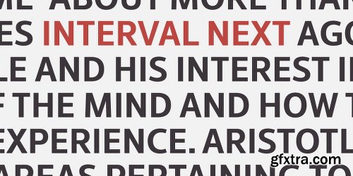 Interval Next Font family - 64 Fonts $999