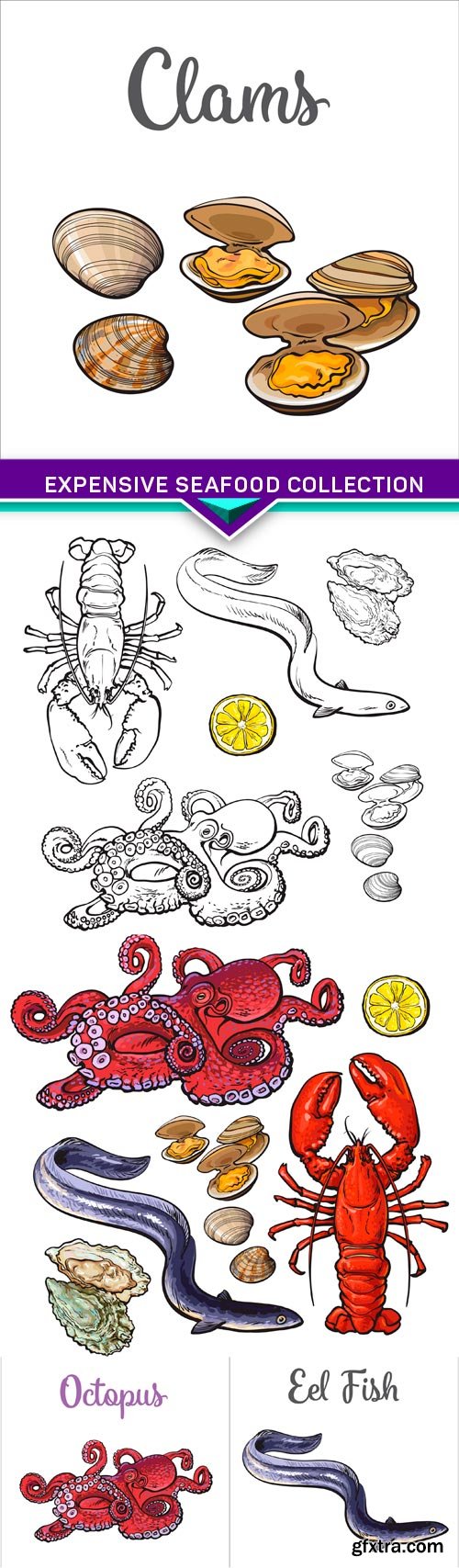 Expensive seafood collection vector illustration 5X EPS