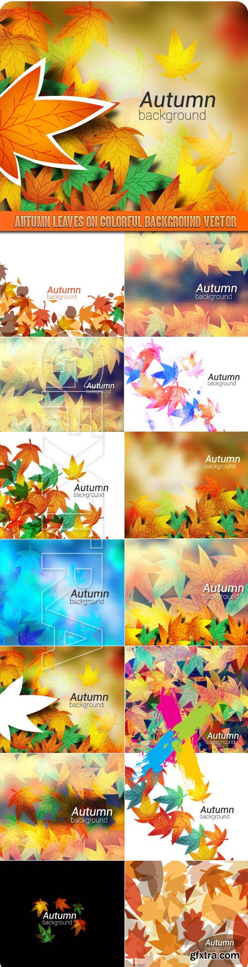 Autumn leaves on colorful background vector