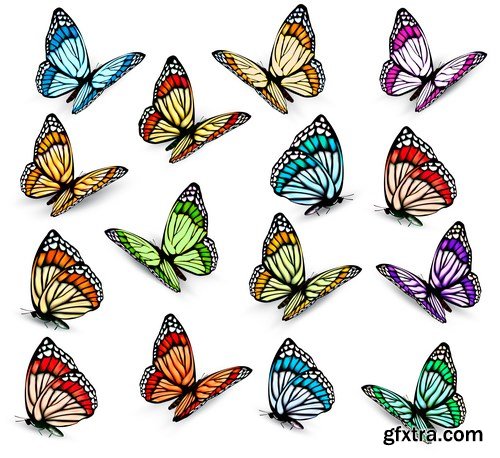 Beautiful Butterflies - 20xEPS