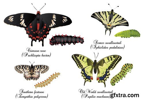 Beautiful Butterflies - 20xEPS