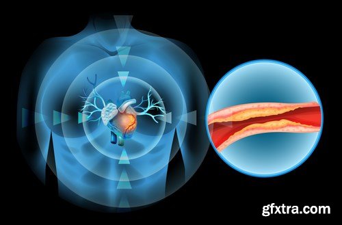 Structure and Human Organs - 30xEPS