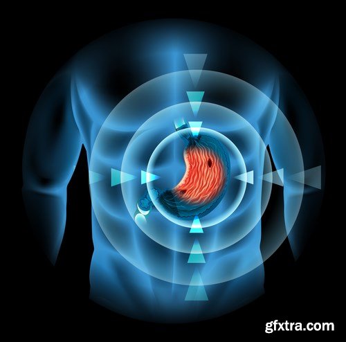 Structure and Human Organs - 30xEPS