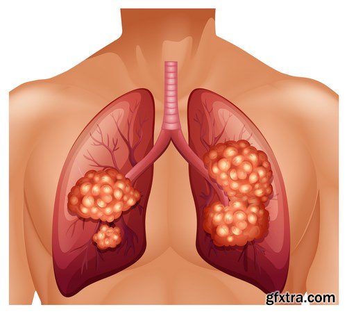 Structure and Human Organs - 30xEPS