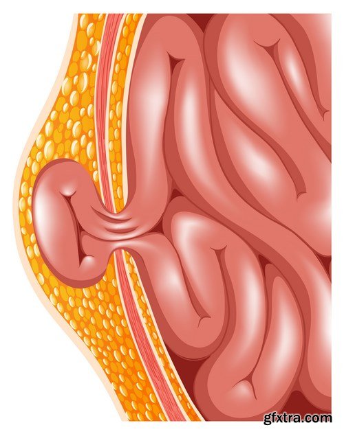 Structure and Human Organs - 30xEPS