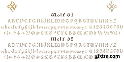 NT Wolf Font Family - 4 Fonts $99