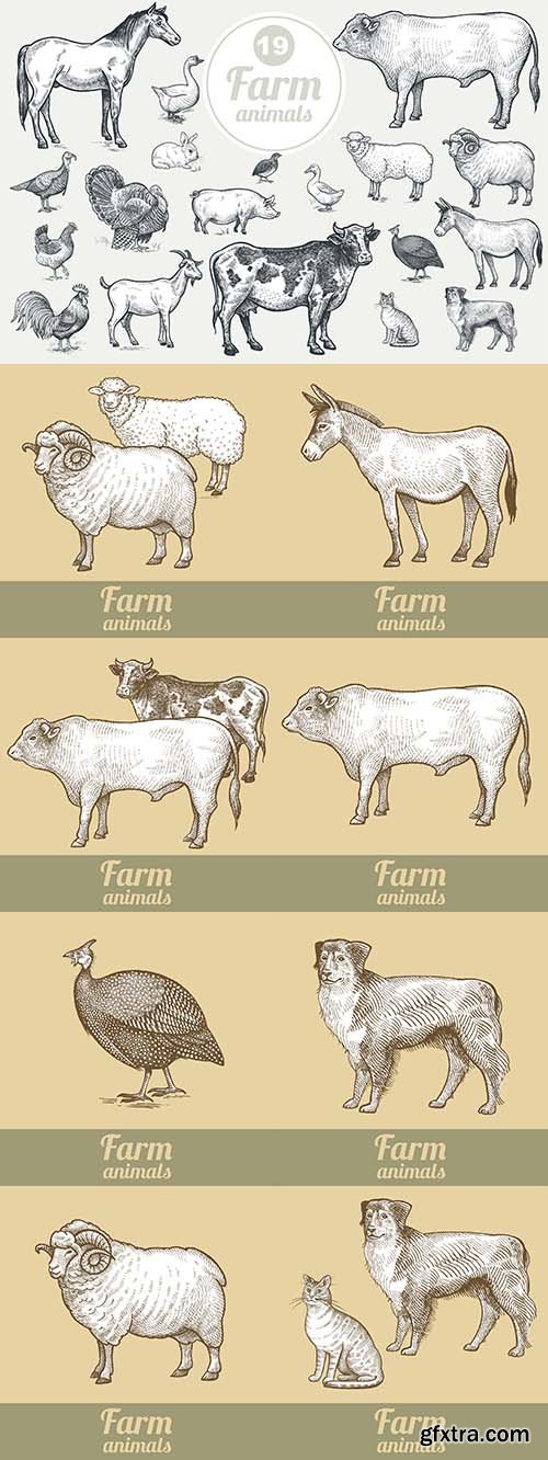 Farm Animals