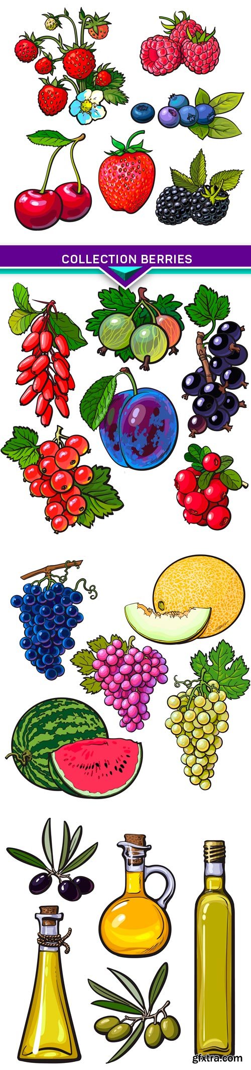 Collection berries, vector illustration isolated on white background 4X EPS