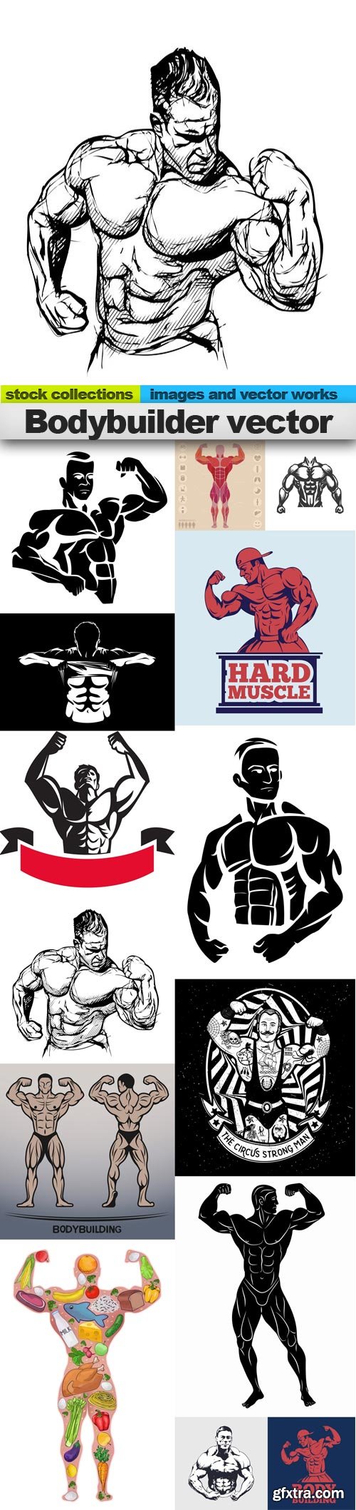 Bodybuilder vector, 15 x EPS