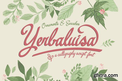 Yerbaluisa calligraphic script font Demo