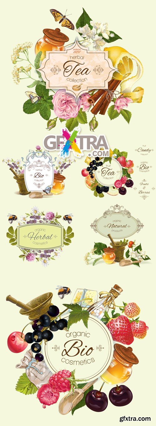 Herbal & Fuit Banners Vector