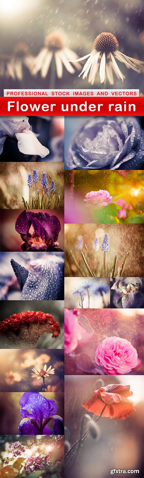 Flower under rain - 16 UHQ JPEG